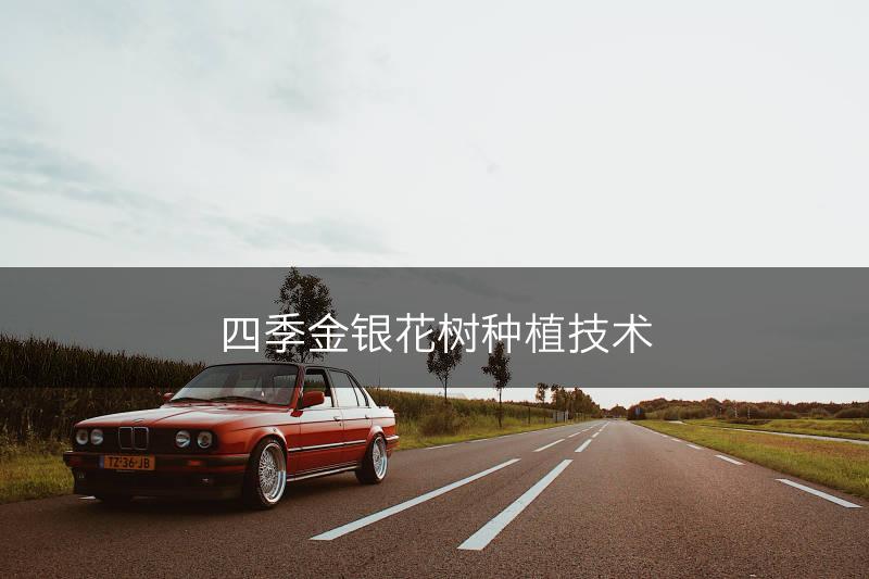 四季金银花树种植技术(图1)