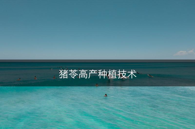 猪苓高产种植技术(图1) 猪苓高产种植技术(图1)