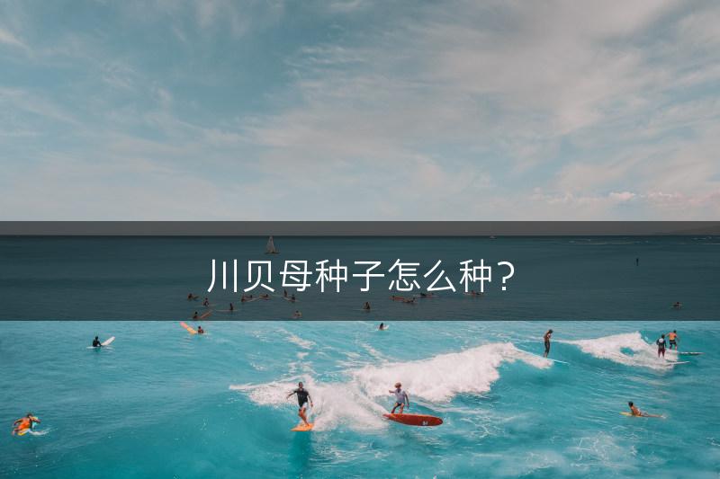 川贝母种子怎么种？(图1)