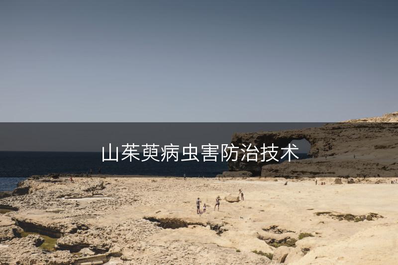 山茱萸病虫害防治技术(图1)