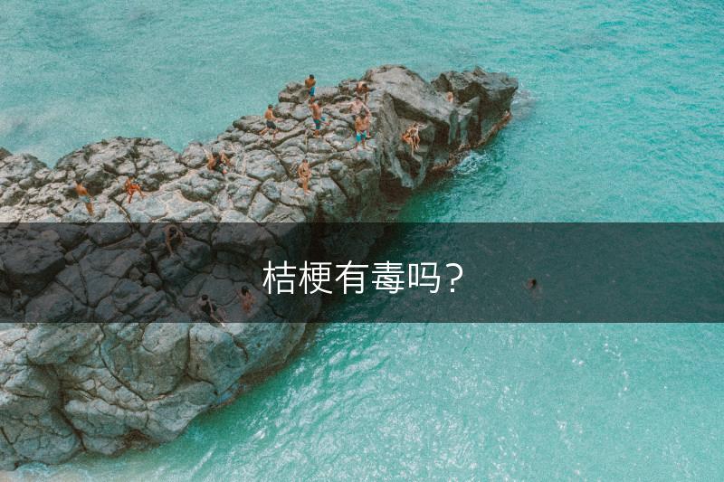 桔梗有毒吗？(图1)