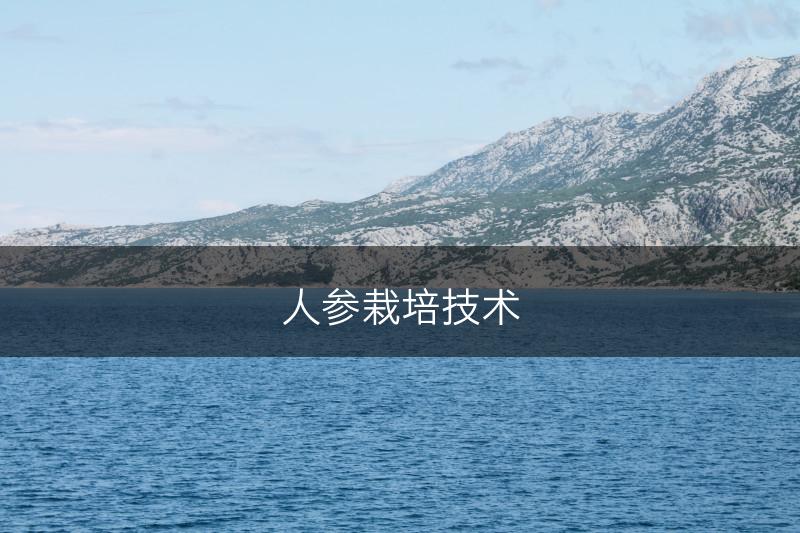 人参栽培技术(图1)