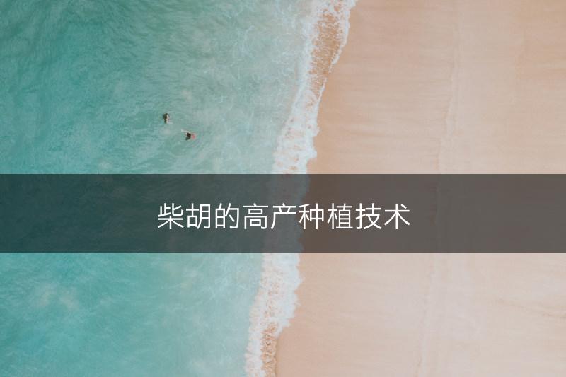 柴胡的高产种植技术(图1)