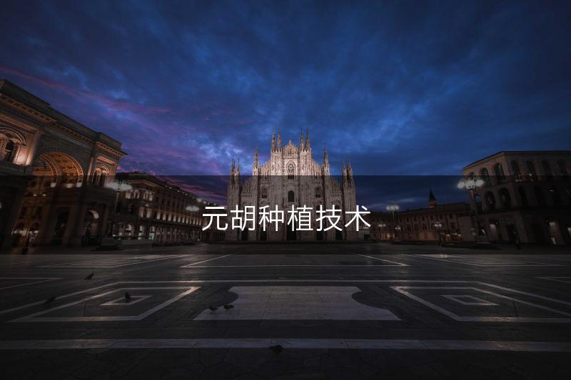 元胡种植技术(图1) 元胡种植技术(图1)