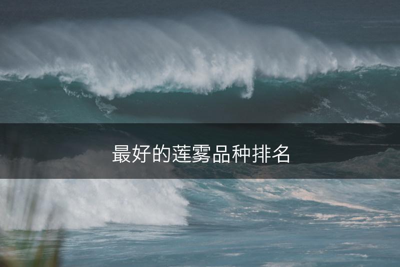 最好的莲雾品种排名(图1)
