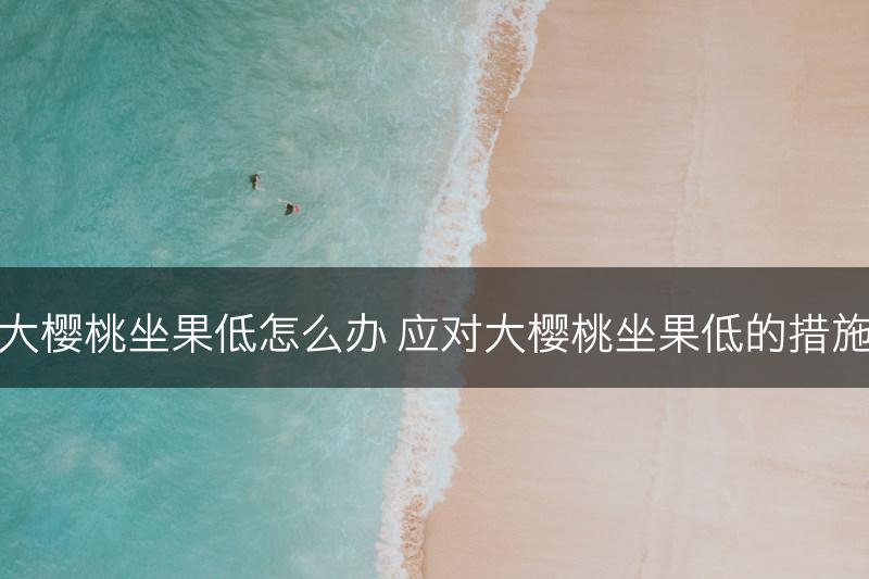 大樱桃坐果低怎么办 应对大樱桃坐果低的措施(图1)