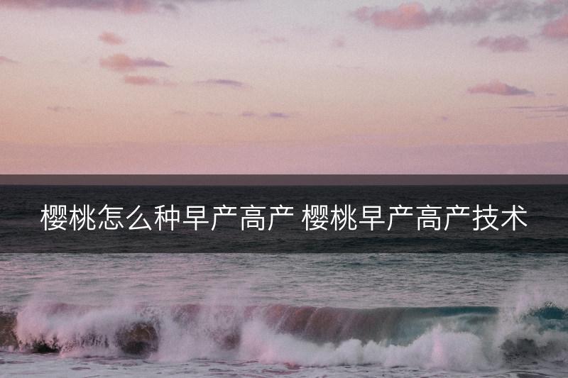 樱桃怎么种早产高产 樱桃早产高产技术(图1)