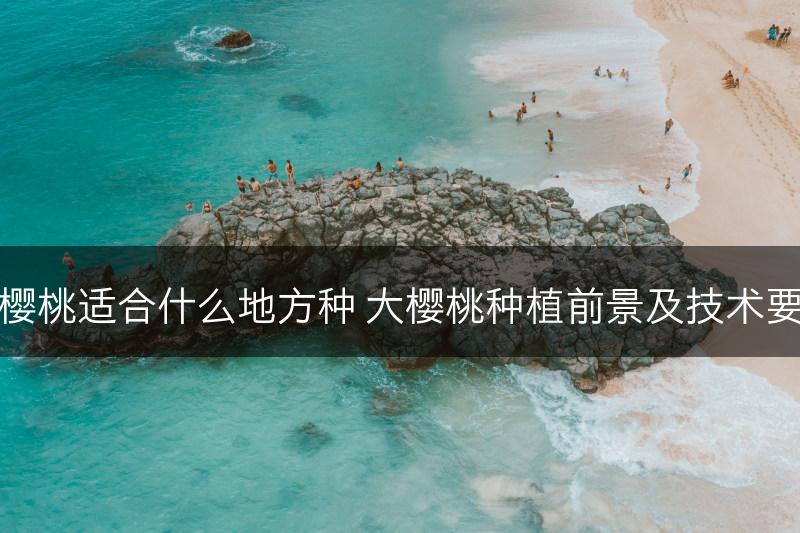 大樱桃适合什么地方种 大樱桃种植前景及技术要点(图1)
