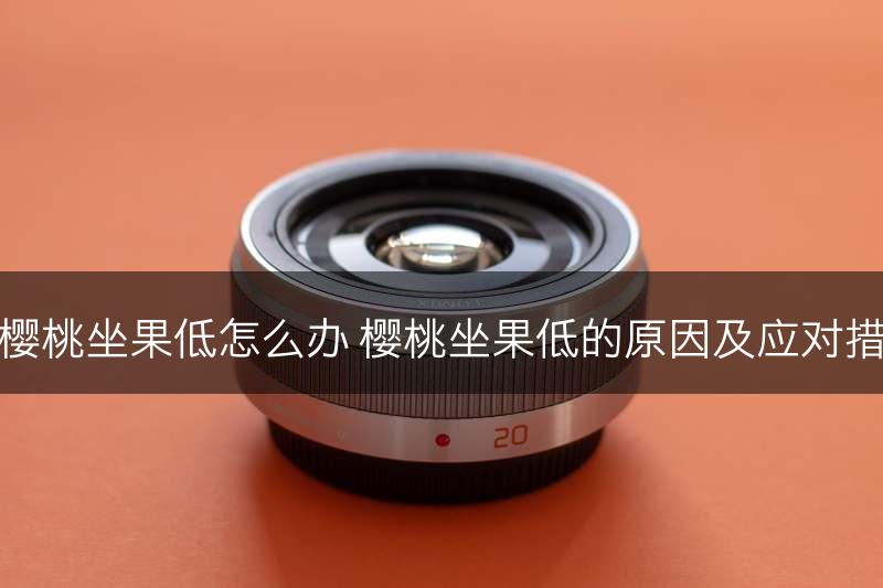 大樱桃坐果低怎么办 樱桃坐果低的原因及应对措施(图1)