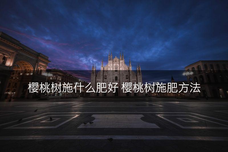 樱桃树施什么肥好 樱桃树施肥方法(图1)