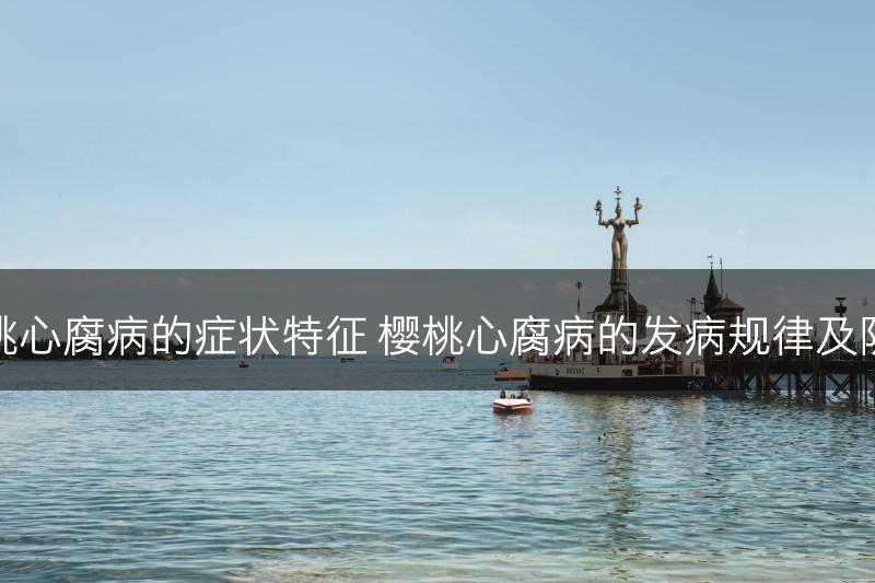 樱桃心腐病的症状特征 樱桃心腐病的发病规律及防治(图1)