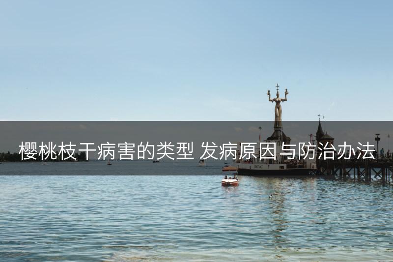 樱桃枝干病害的类型 发病原因与防治办法(图1)