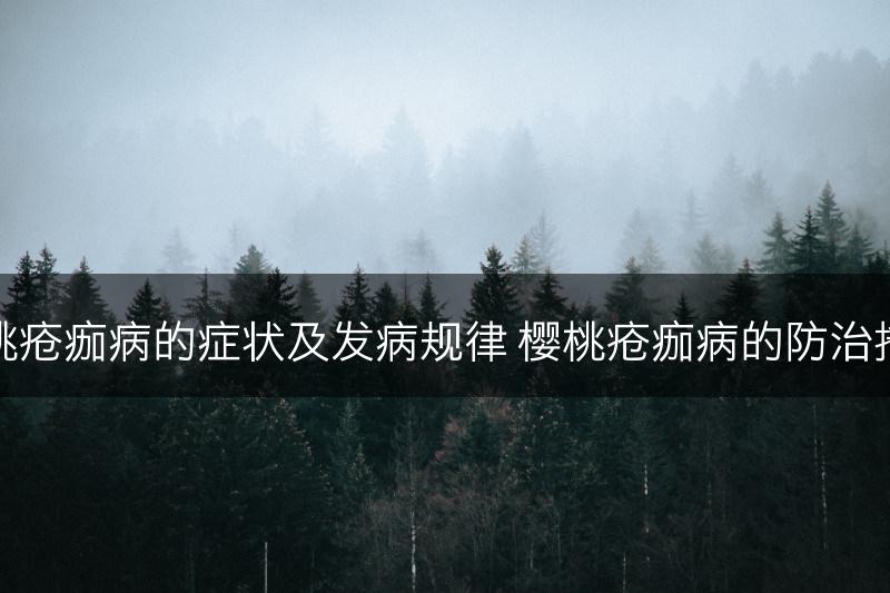 樱桃疮痂病的症状及发病规律 樱桃疮痂病的防治措施(图1)