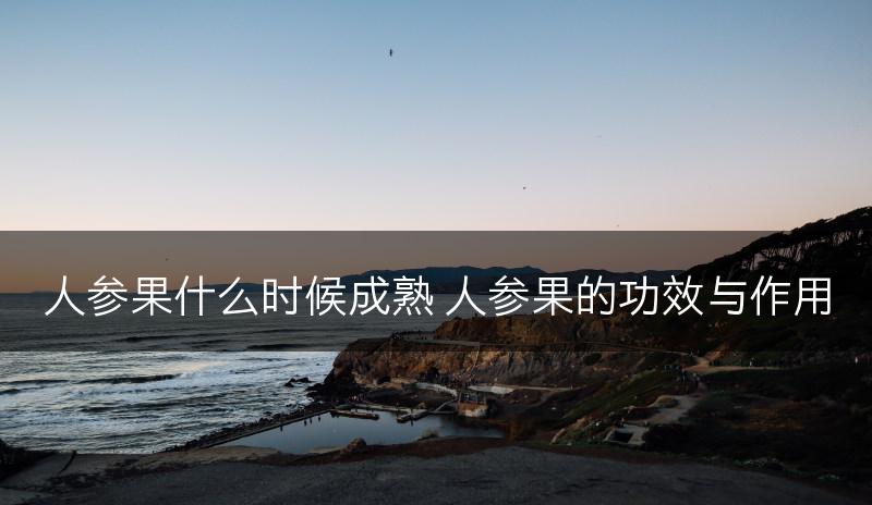 人参果什么时候成熟 人参果的功效与作用(图1)