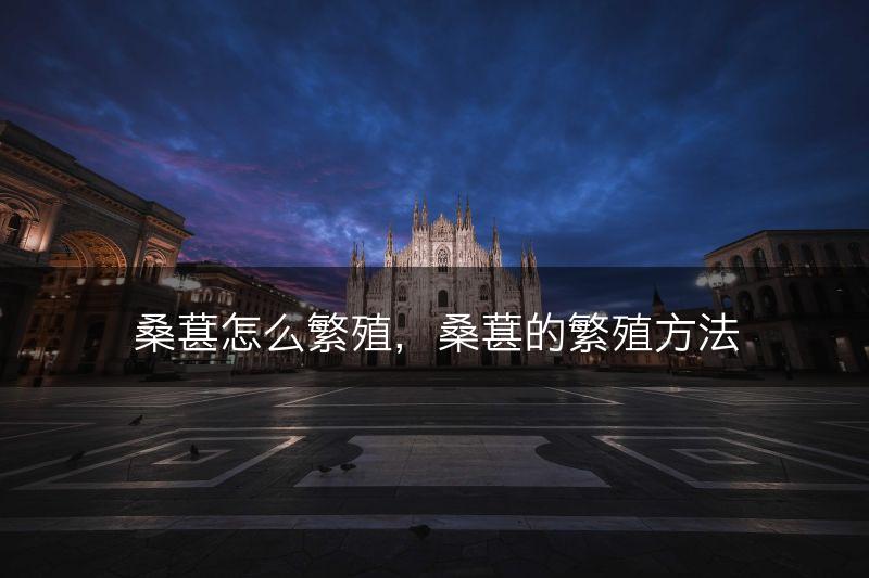 桑葚怎么繁殖，桑葚的繁殖方法(图1)