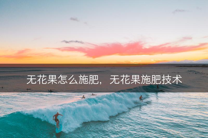 无花果怎么施肥，无花果施肥技术(图1)