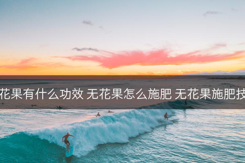 无花果有什么功效 无花果怎么施肥 无花果施肥技巧(图1)