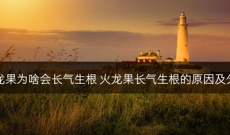火龙果为啥会长气生根 火龙果长气生根的原因及分析(图1)