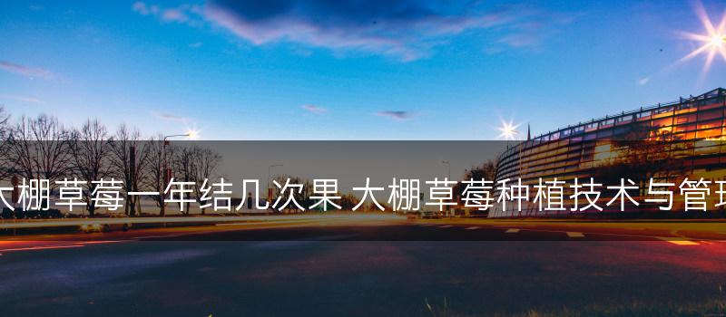 大棚草莓一年结几次果 大棚草莓种植技术与管理(图1)