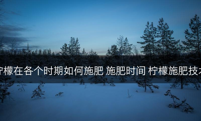 柠檬在各个时期如何施肥 施肥时间 柠檬施肥技术(图1)
