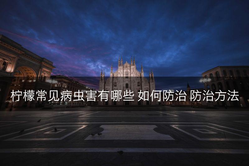 柠檬常见病虫害有哪些 如何防治 防治方法(图1)