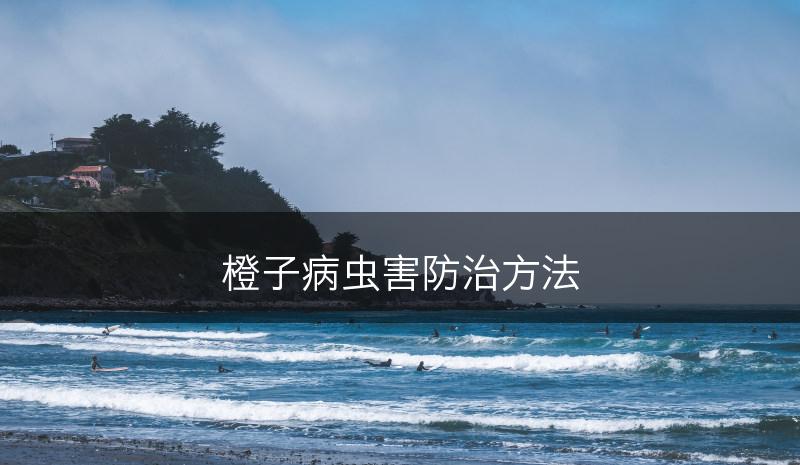 橙子病虫害防治方法(图1)