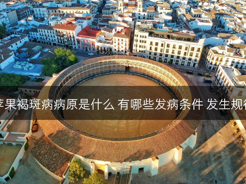 苹果褐斑病病原是什么 有哪些发病条件 发生规律(图1)