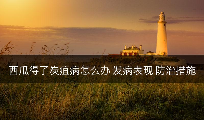 西瓜得了炭疽病怎么办 发病表现 防治措施(图1)