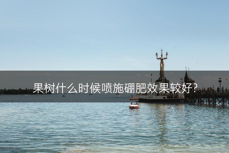 果树什么时候喷施硼肥效果较好?(图1)