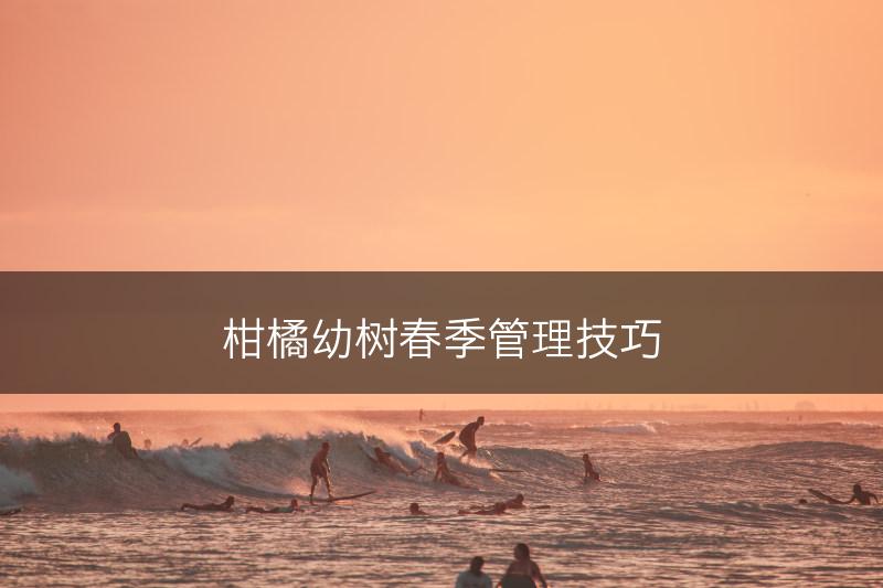 柑橘幼树春季管理技巧(图1)
