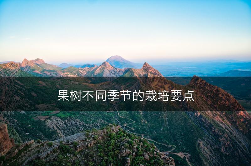 果树不同季节的栽培要点(图1)