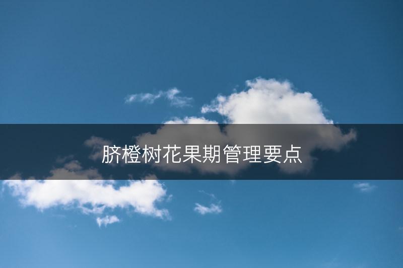 脐橙树花果期管理要点(图1)
