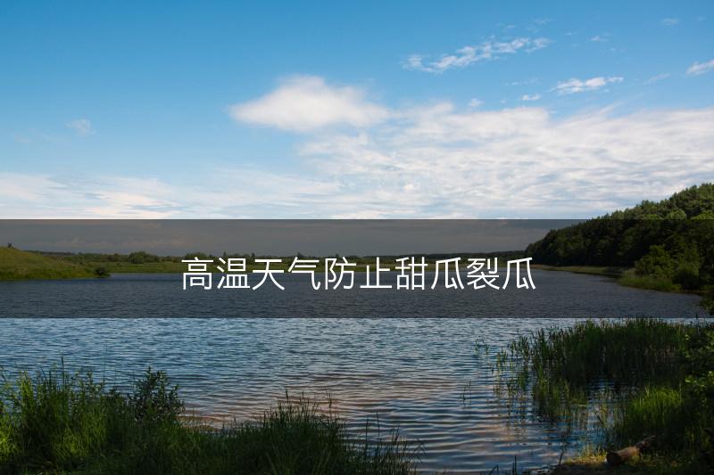 高温天气防止甜瓜裂瓜(图1)