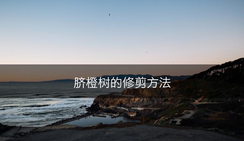 脐橙树的修剪方法(图1)
