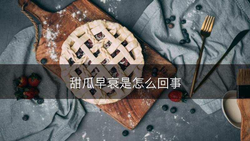 甜瓜早衰是怎么回事(图1)