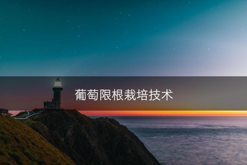 葡萄限根栽培技术(图1)