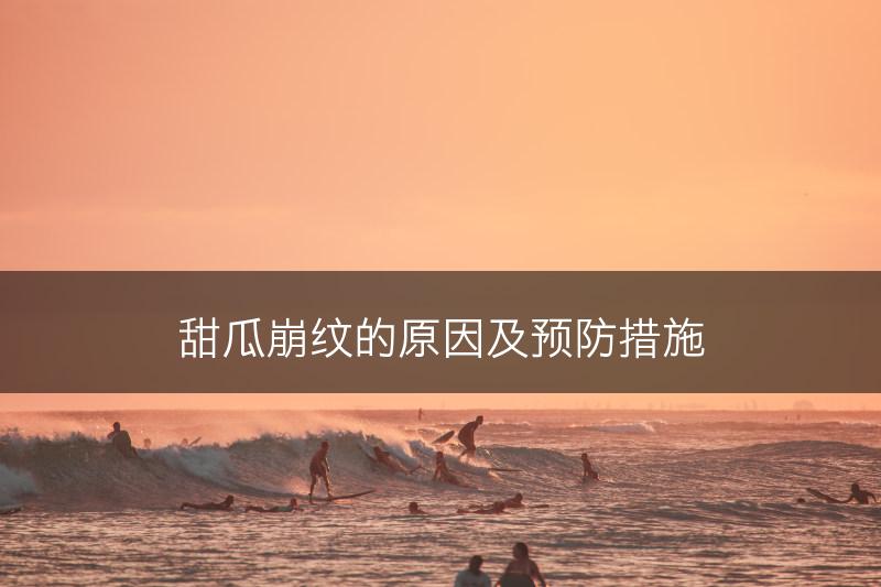 甜瓜崩纹的原因及预防措施(图1)