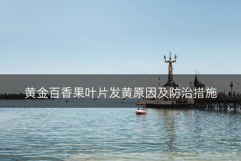 黄金百香果叶片发黄原因及防治措施(图1)