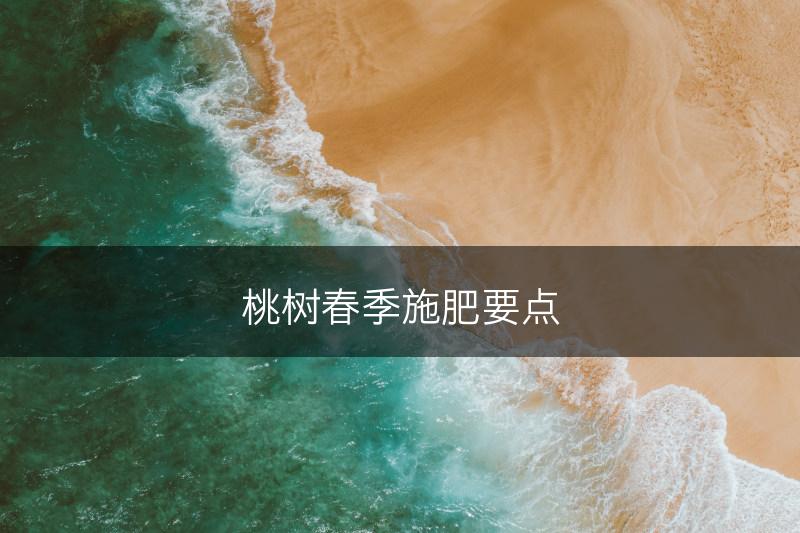 桃树春季施肥要点(图1)