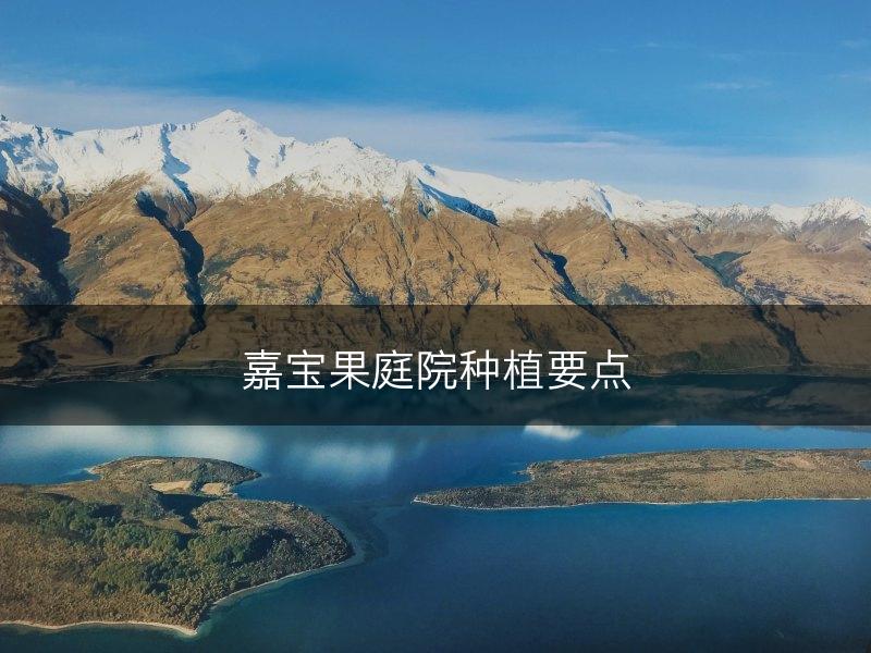 嘉宝果庭院种植要点(图1)