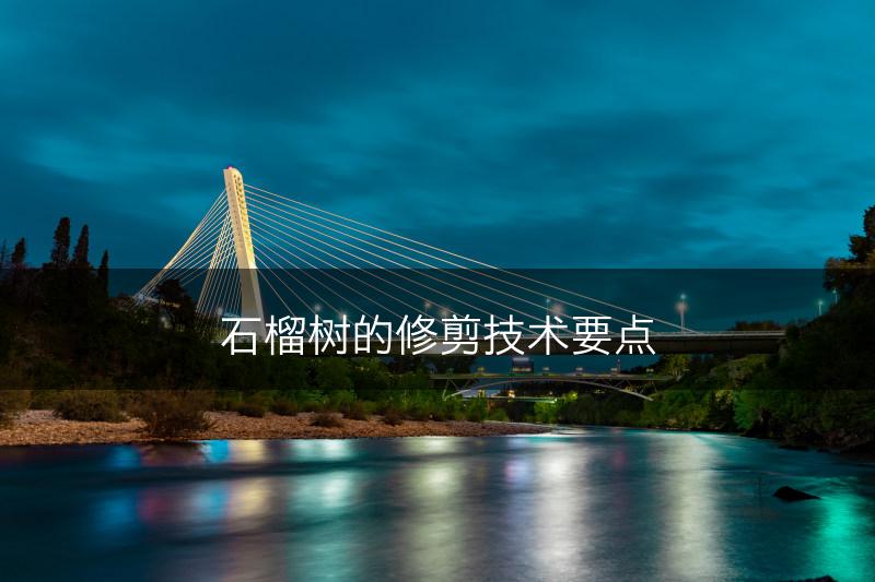 石榴树的修剪技术要点(图1)