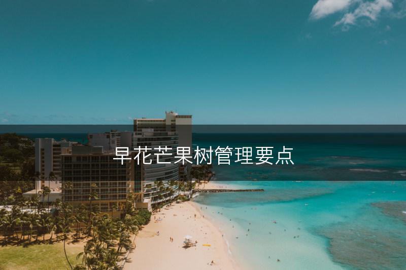 早花芒果树管理要点(图1) 早花芒果树管理要点(图1)