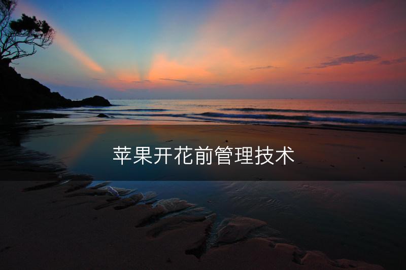 苹果开花前管理技术(图1)