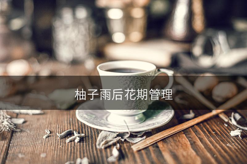 柚子雨后花期管理(图1)
