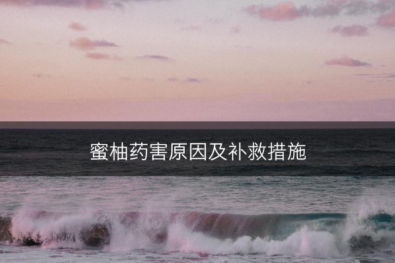 蜜柚药害原因及补救措施(图1)