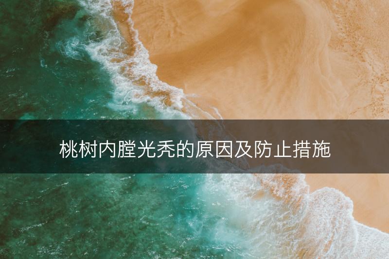 桃树内膛光秃的原因及防止措施(图1)