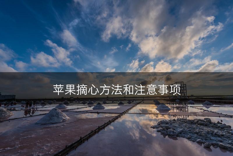 苹果摘心方法和注意事项(图1)