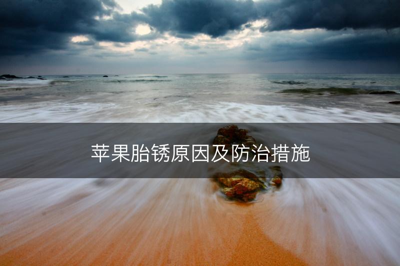 苹果胎锈原因及防治措施(图1)