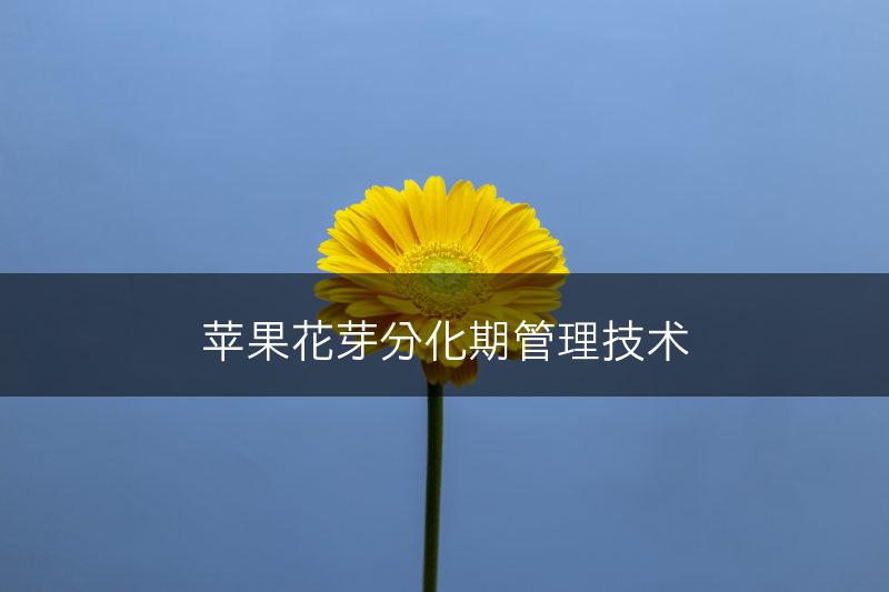 苹果花芽分化期管理技术(图1)