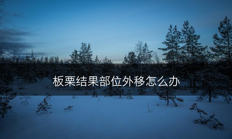 板栗结果部位外移怎么办(图1) 板栗结果部位外移怎么办(图1)
